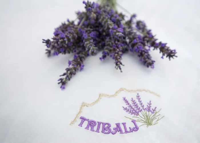 Lavanda With Relaxation Spot Of Swimming Pool In Scented Garden, Outdoor Terrace And Barbecue Villa Tribalj (Primorsko-Goranska)