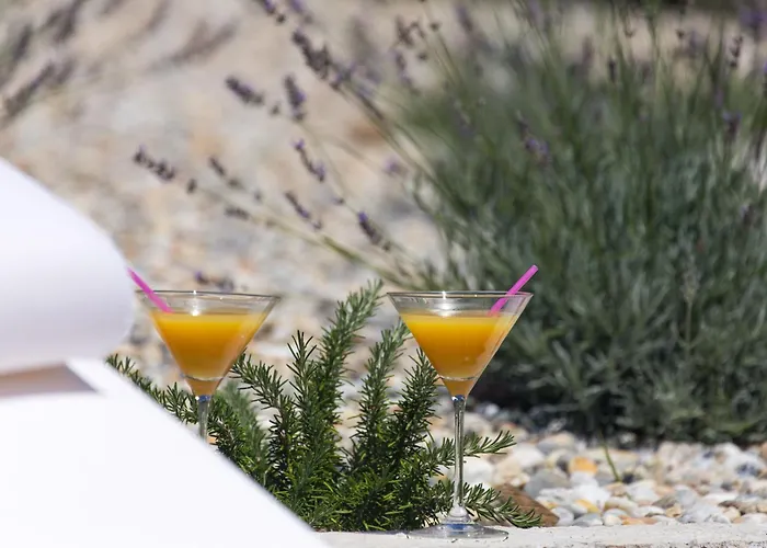 Lavanda With Relaxation Spot Of Swimming Pool In Scented Garden, Outdoor Terrace And Barbecue * Tribalj (Primorsko-Goranska)