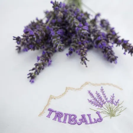 Lavanda With Relaxation Spot Of Swimming Pool In Scented Garden, Outdoor Terrace And Barbecue Villa Tribalj (Primorsko-Goranska)