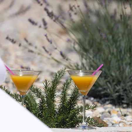 Lavanda With Relaxation Spot Of Swimming Pool In Scented Garden, Outdoor Terrace And Barbecue * Tribalj (Primorsko-Goranska)